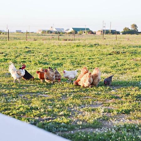 Aintree Farm Cottage Langebaan Ngoại thất bức ảnh